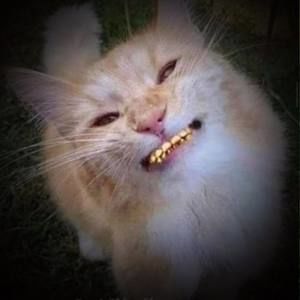 Meet your Posher, Shonte